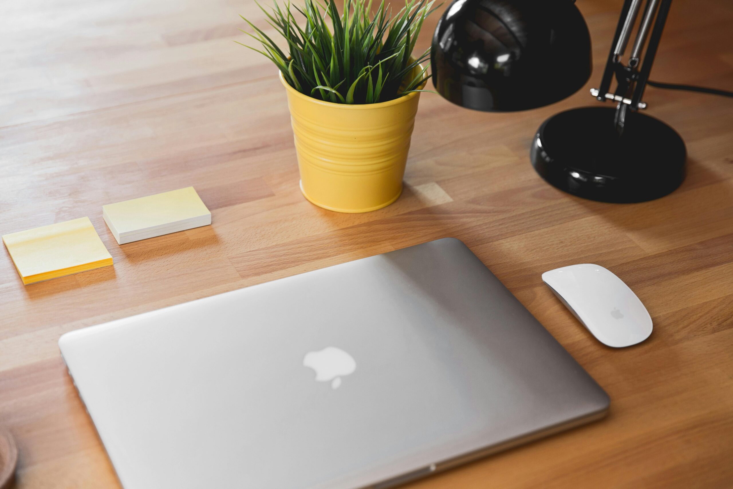 A sleek workspace featuring a laptop, plant, and desk lamp on a wooden table.